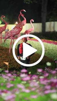 BIB:  <button type="button" onclick="openModal(27589869)" class="btn btn-primary btn-sm float-right" data-toggle="modal" data-target=".modal-high-quality">
                <i class="fa fa-download"></i> Download
                </button>